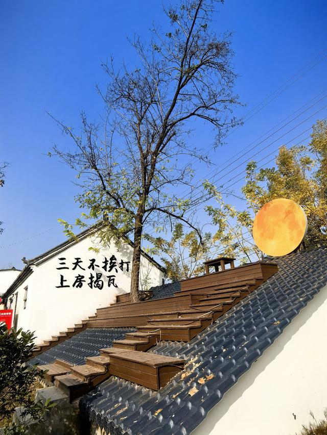 康台印象：藏在豫西南的“老家”