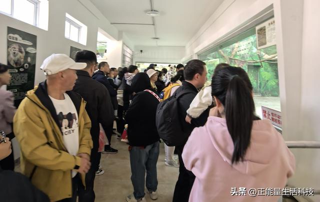 青岛动物园深度游指南：百年历史+五大展区，改造后更值得期待！