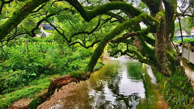 皖浙摩旅二人转——松阳普济桥篇