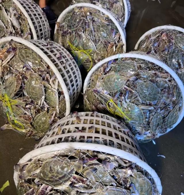中国哪里的梭子蟹最好吃？经过评比，这8个地方上榜，有你家乡吗