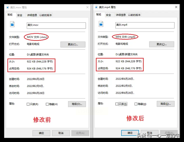 轻松掌握视频转MP4的方法，新手必学的视频转MP4的方法