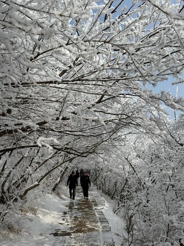 首遇云台山的雪凇美景