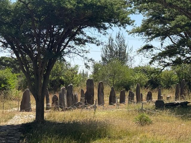 【联合国特别大师】人类祖先露西与世界选美