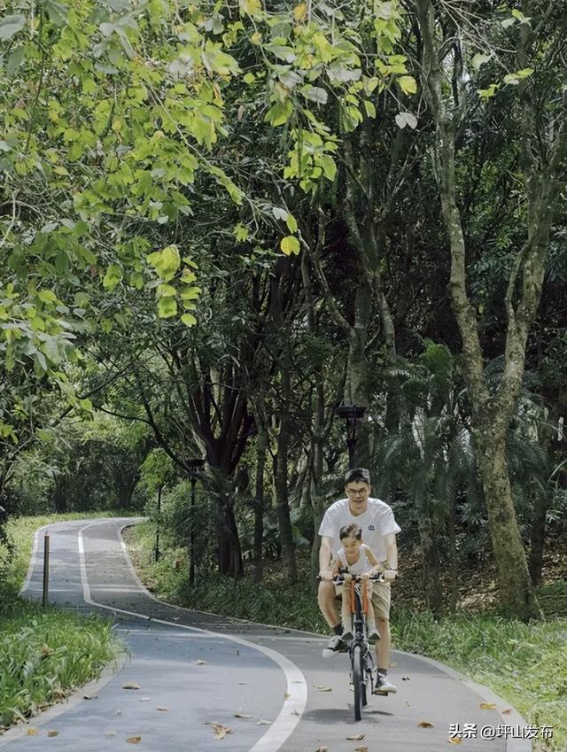 骑遇坪山① | 宝藏“高颜值”骑行线，拍出森系大片刷爆朋友圈