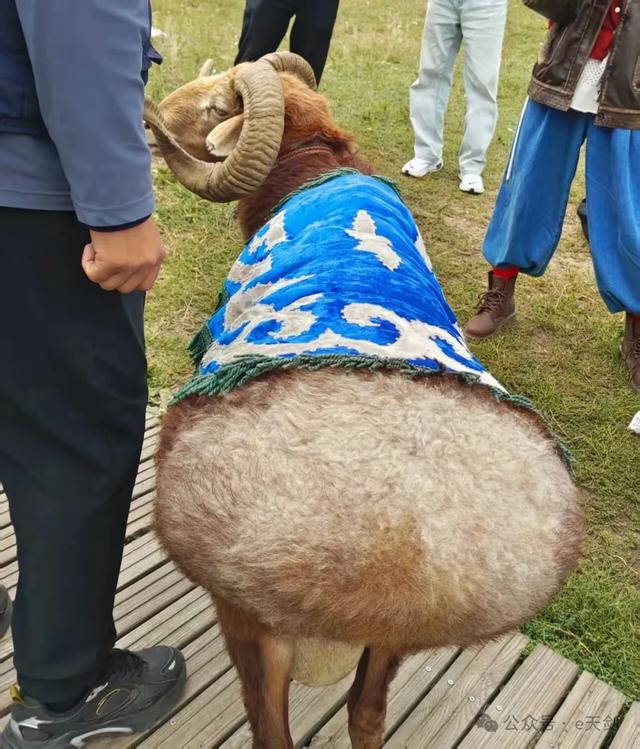 北疆之北:神奇的秘境!
