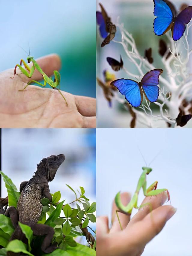 现在就出发！会玩儿的深圳人，已经安排上了……