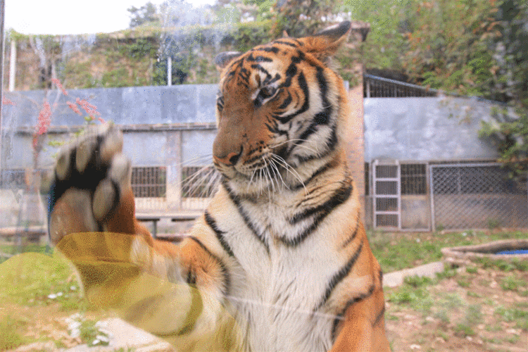 韶关这些秋冬的徒步骑行宝藏路线值得你N刷！喊上搭子，周末就出发去捕捉秋天的限定温柔