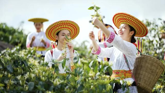 湖南海拔1300米的高山中藏着一个神秘村子,风景不输江西篁岭