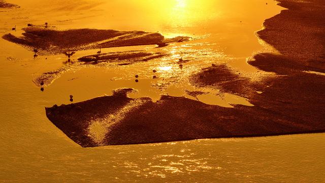 #运城头条#山西绛州：千年“水旱码头”天鹅“舞”古州