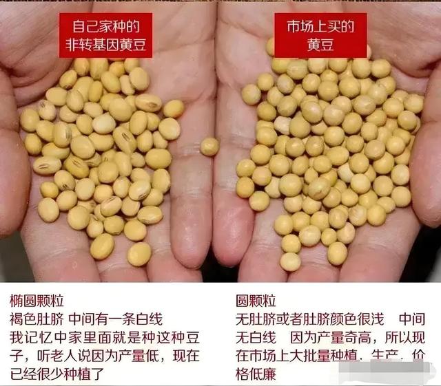 2002年两名混混因抢劫，毁了座二线城市，中国国运也被按下暂停键