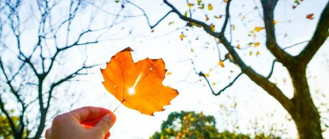 全部免费！兰州周末5个遛娃吸氧宝藏地！还能邂逅候鸟！