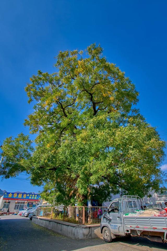太全面了！8条游玩线路+京郊汤泉！带您玩转北京这里！（1）