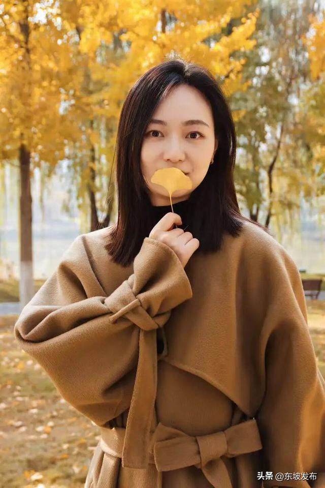 东坡银杏已“上分” ！快来拍