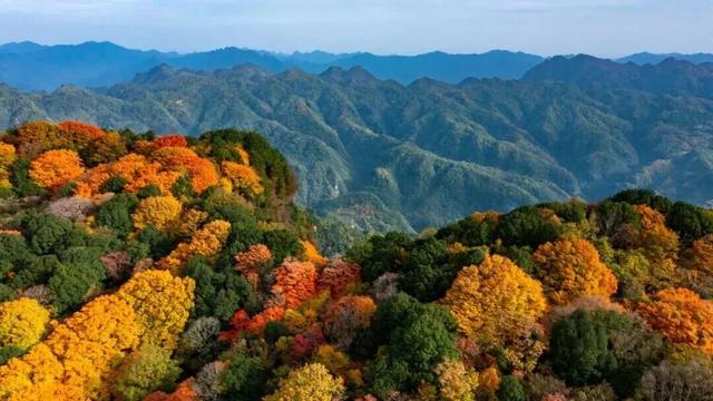 广元旺苍，倒也不必美得如此满分！！！