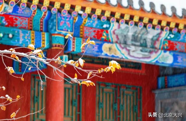 北京等雪来！故宫约不上？大兴团河行宫遗址公园藏着一样美的皇家雪景