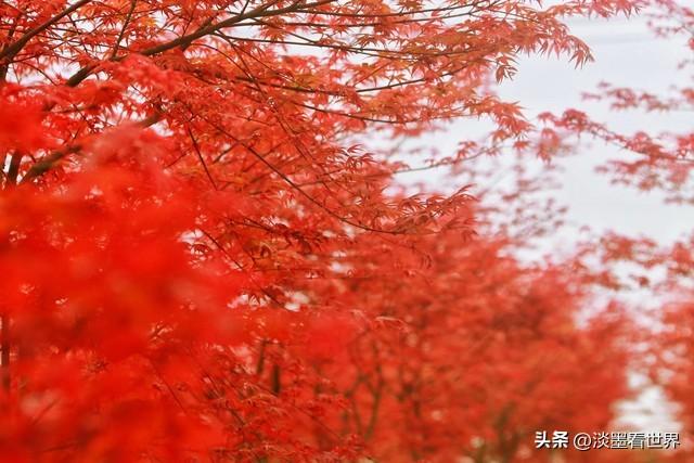 我试了一个“人生构建法”，终于告别迷茫，把喜欢的事变成了正职