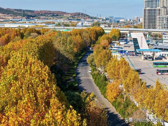 【乐游烟台】现在就冲！烟台这几处街景美到开挂