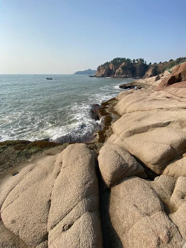 山东荣成：天鹅与海鸥齐飞，这座低调滨海城，藏着北纬37°的浪漫