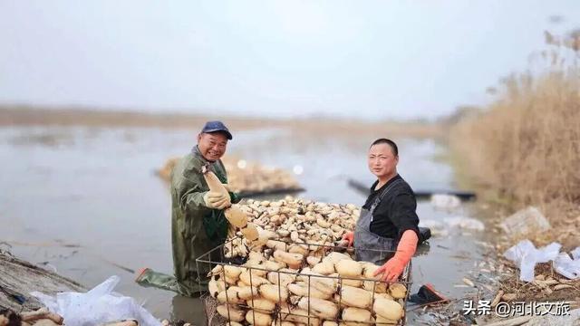 双节游河北攻略 | 这座宝藏小城的48小时出游攻略来了！