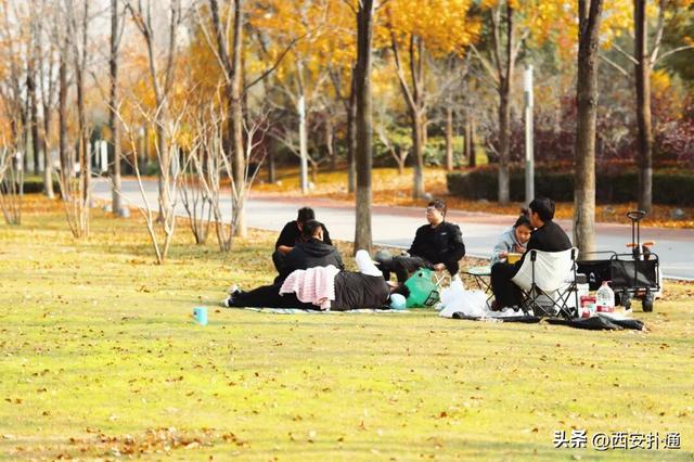 地铁直达！秋日末尾的“落叶大道”不可错过！