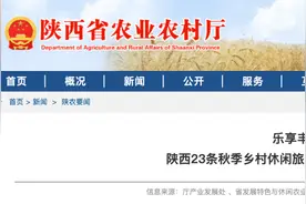 ​23条精品线路！来一场秋天的乡村休闲游......图片