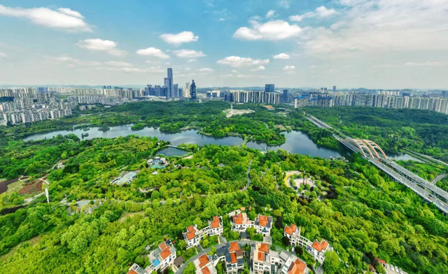 错过又要等一年！走，抓住贵阳短暂的秋，来一场ParkWalk→