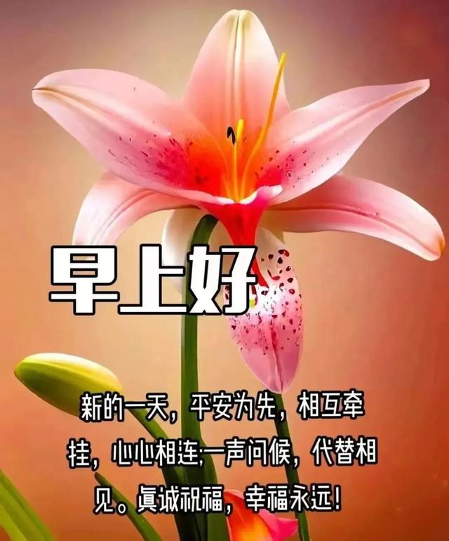每日100句吉祥祝福语，最美的问候语大全，祝福朋友们快乐吉祥