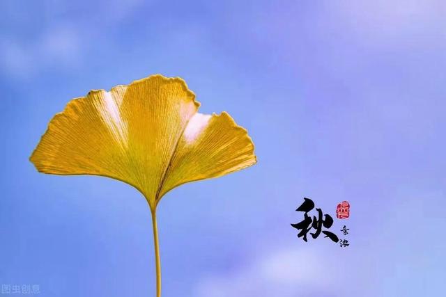 秋天的十个绝美雅称，每一个都美到令人心醉