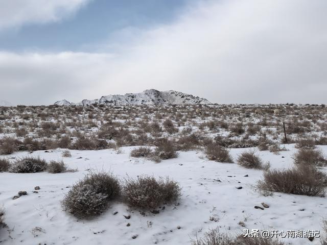 喀什经317到成都，民丰-改则，穿800里无人区，海拔从1500到5400