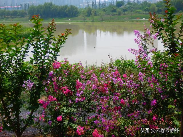 盘点西安那些羽化的风景