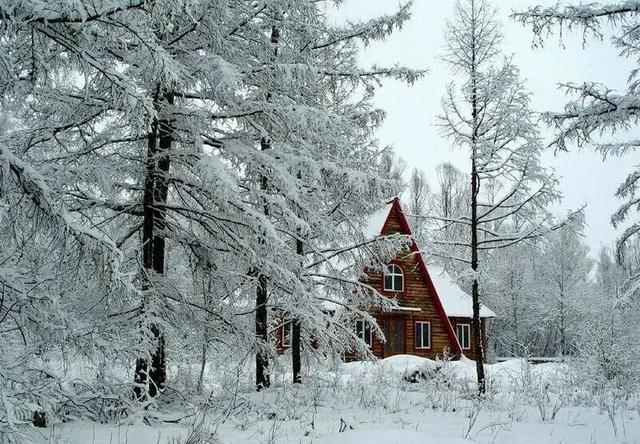 鄂伦春冰雪之约｜兴安雪域藏秘境 鄂伦春冬韵醉游人