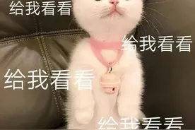 作为诊断心力衰竭的标志物，BNP和NT-proBNP你了解多少呢？图片