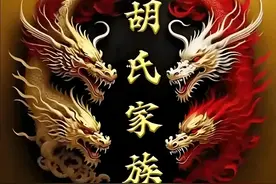 胡氏族史研究——天下胡姓与迁徙变化综览(五)图片