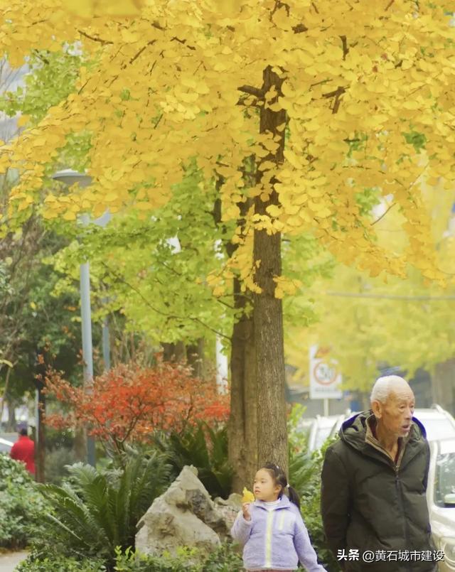 老街温情 都在黄石这条黄金步道里