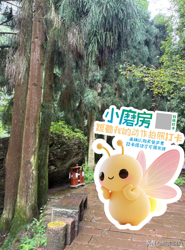 10月29日，开启乐游天台山不限量徒步活动！速来围观！