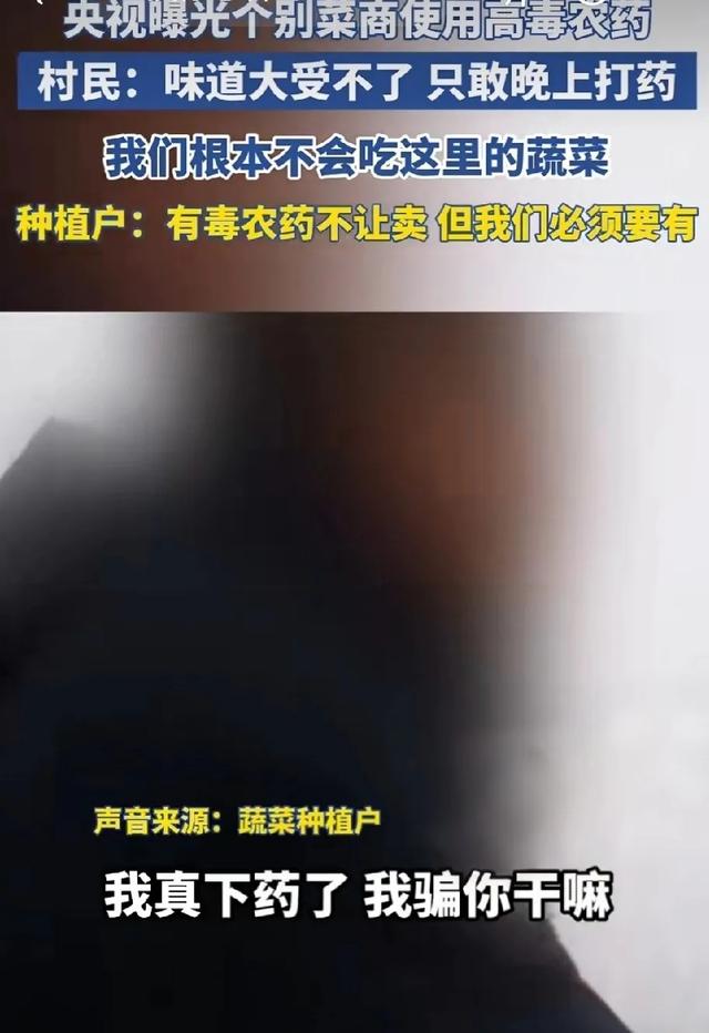 央视曝光毒红薯！商户主动投毒，流窜至全国多地，背后利益链曝光