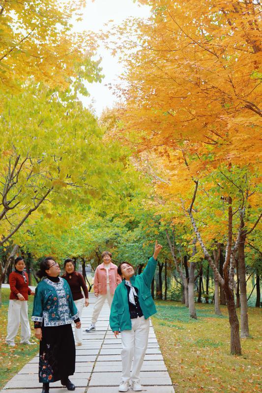 秋之彩色吉林|在长春友谊公园遇见最美秋天