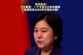 《最后的莫西干人》：千万冤魂的不散与悲号图片