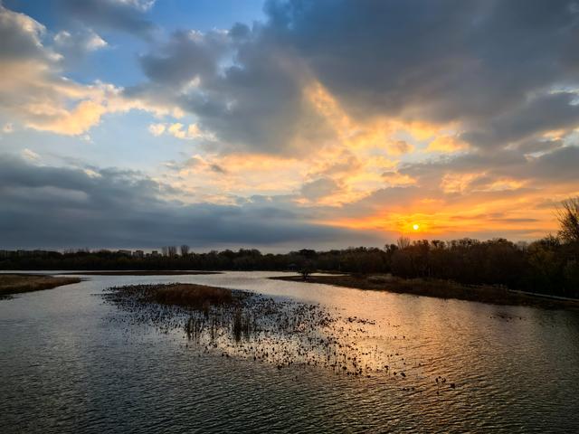 朝看芦苇夕望鸟：爱了！鸢都湖一天最美的两个时刻