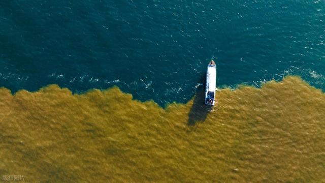 山东最容易被忽略的小城，小众低调的东营，藏着黄河入海的浪漫！