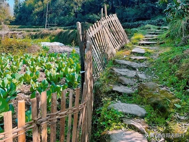 成都蒲江爆红徒步路线，观景台可观四姑娘山和贡嘎雪山，全部免费