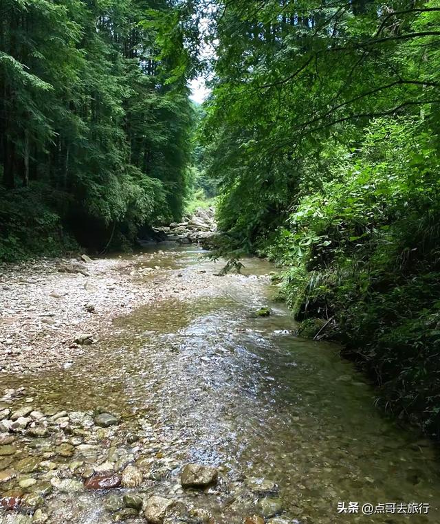 成都周边25℃的小众避暑地，可以露营、玩水、游泳，超凉爽！
