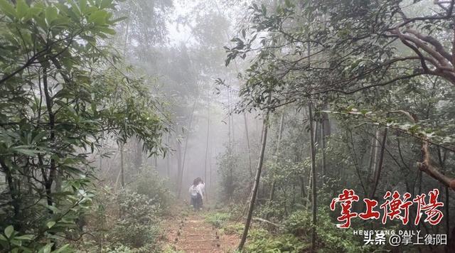 我为峰途丨天光山：未施粉黛自天成，四季轮回显性情