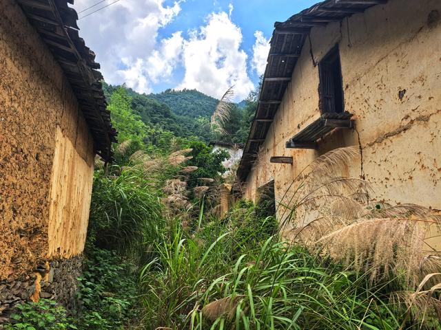 荒村上周尾