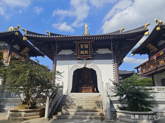 福鼎市区一日游：从白茶发源地到市井小吃赏唐风建筑品山海韵味