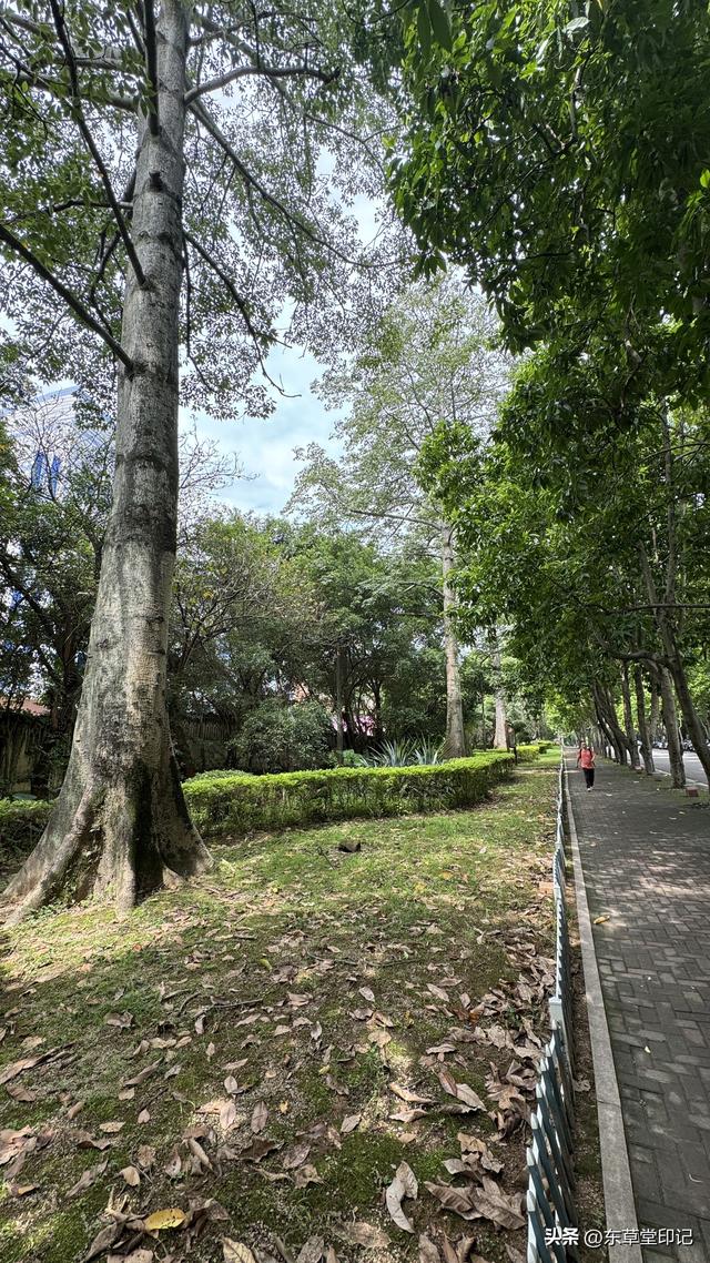 探秘福建农林大学苍山校区：不只是颜值爆表！