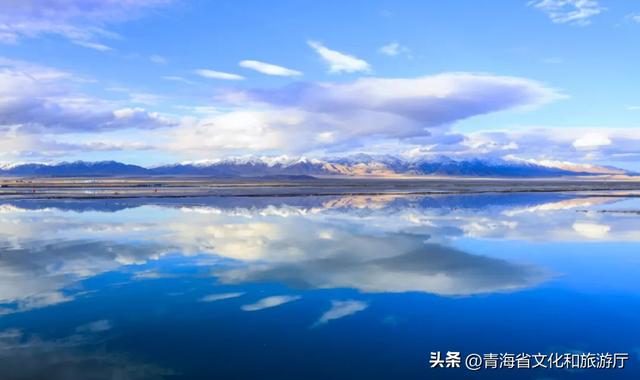 初冬青海,一场静谧与热烈并存的生命礼赞