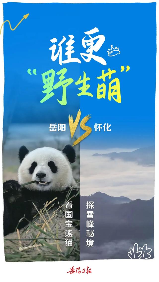 海报 | 岳阳VS怀化，你挺谁？