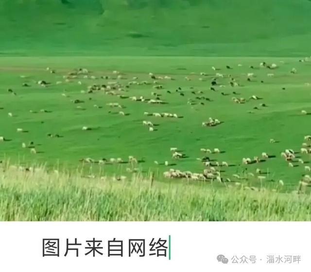 “老家”追忆杂记之四—— 我的“岭西大草原”（上）