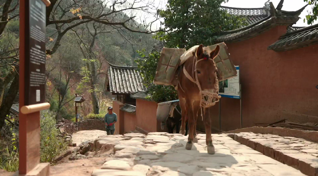 云南大理一座“避世古村”低调藏富贵，位于海拔1700多米的山中